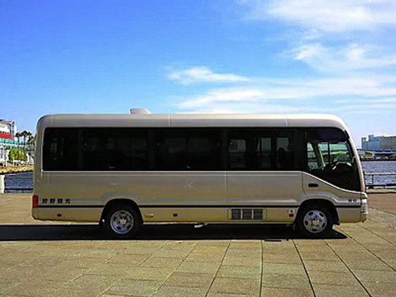 mic_busS06